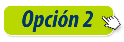 Opción 2